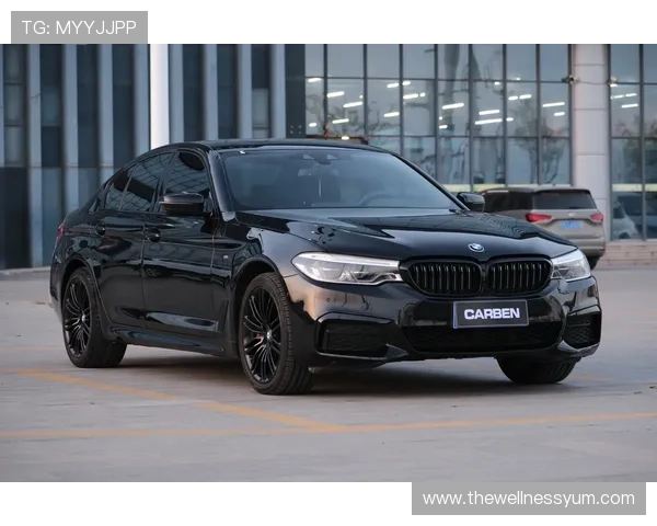 奔驰宝马官网下载入口，提供官方正版软件下载与最新车型参数介绍