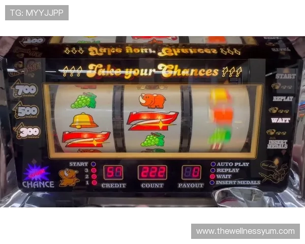 老虎机游戏玩法大全：详细讲解多样化老虎机玩法技巧，提升游戏体验与中奖几率