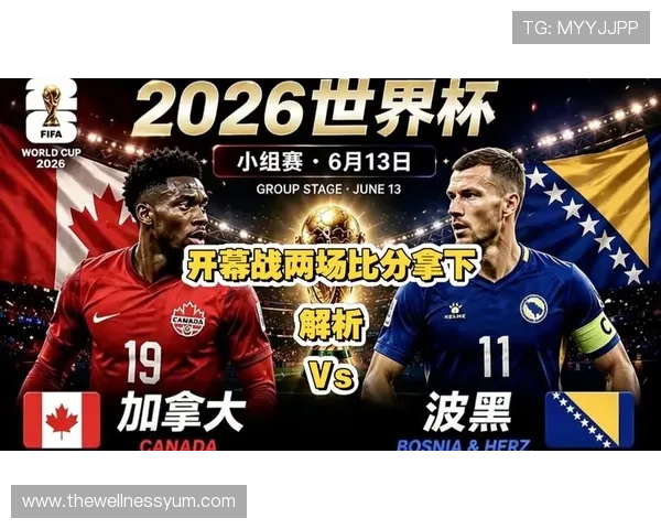 加拿大与波黑世界杯比赛现场观赛全攻略及精彩赛事亮点分析