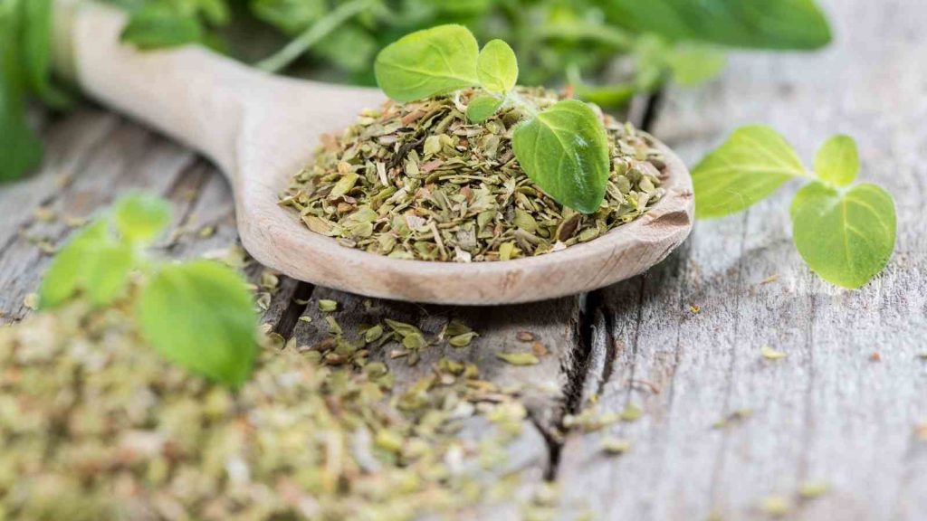 7 Surprising Health Benefits Of Oregano That You Need To Know