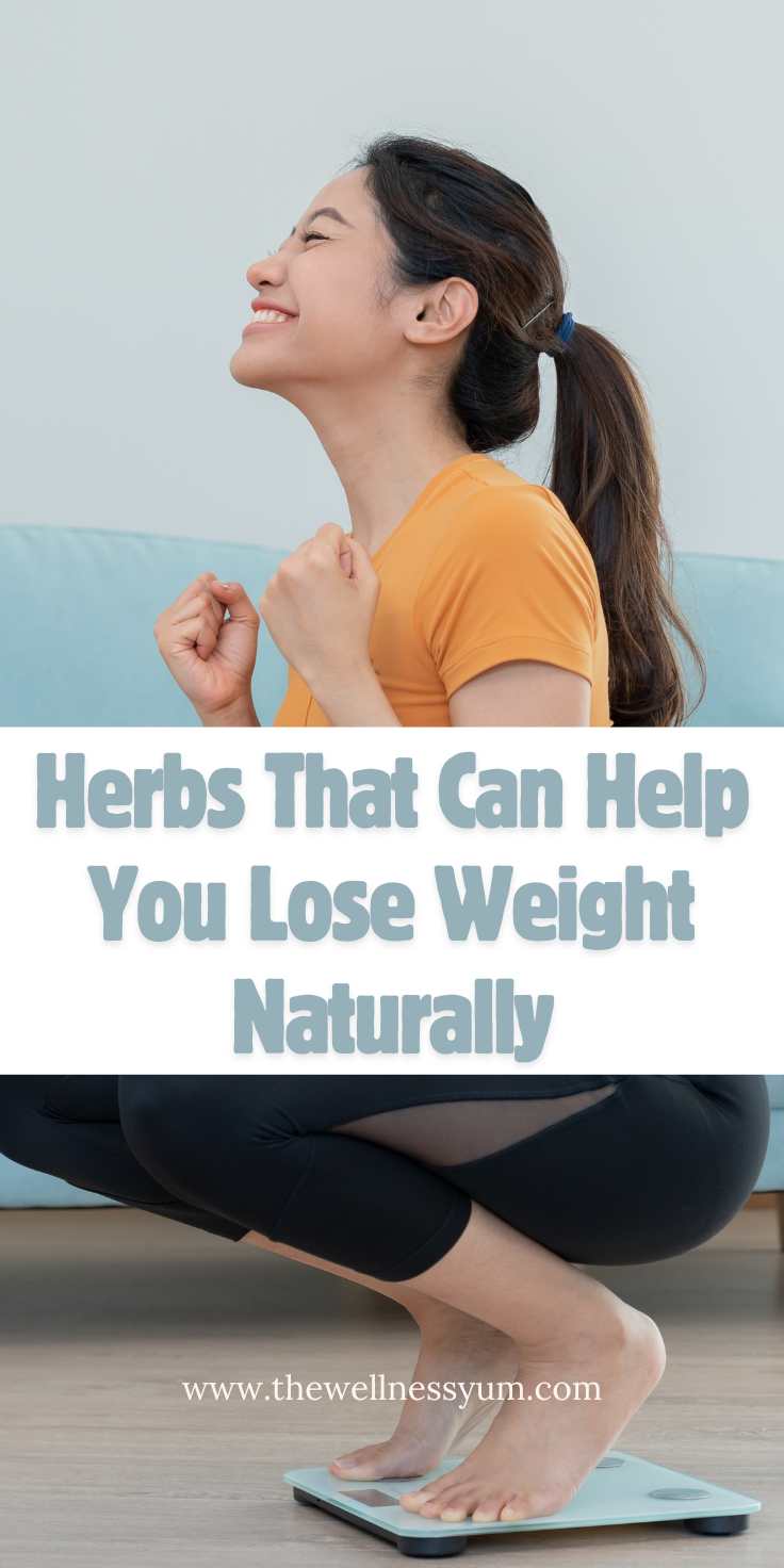 Herbs That Can Help You Lose Weight Naturally