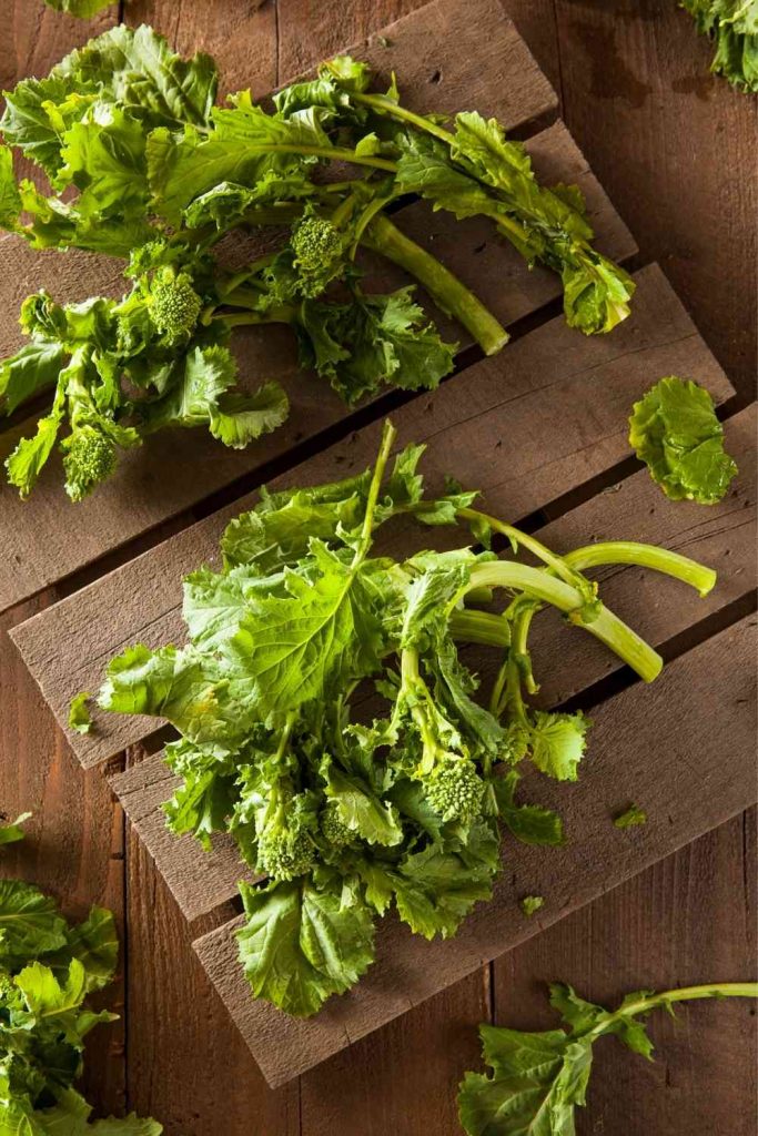 Rapini