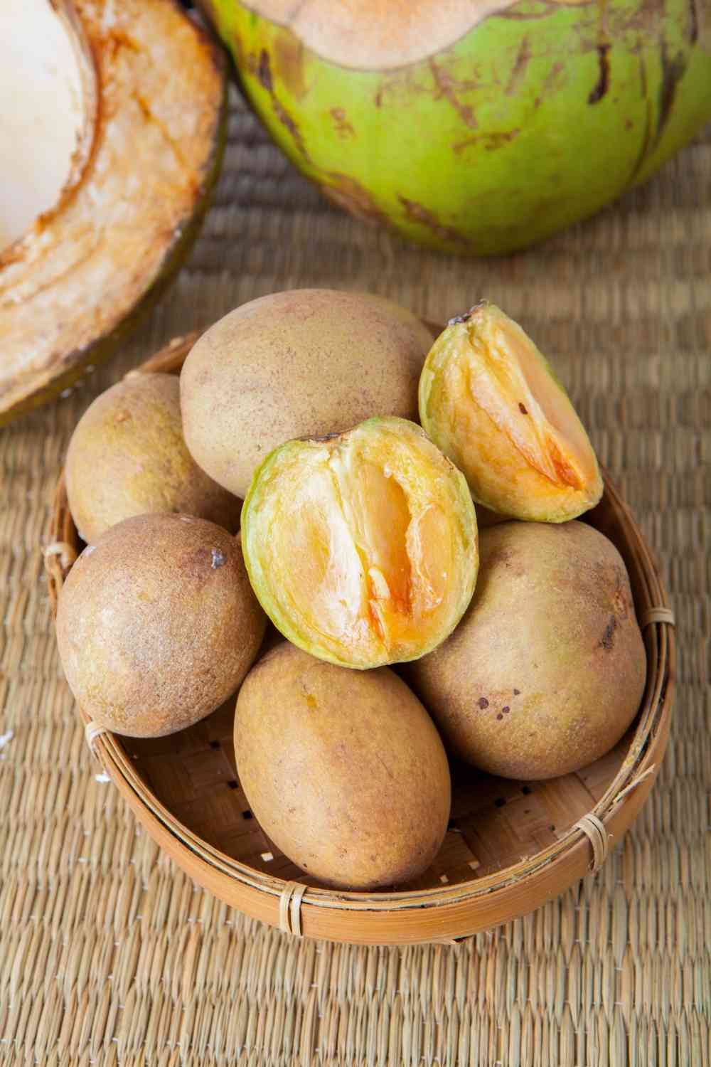 Sapodilla