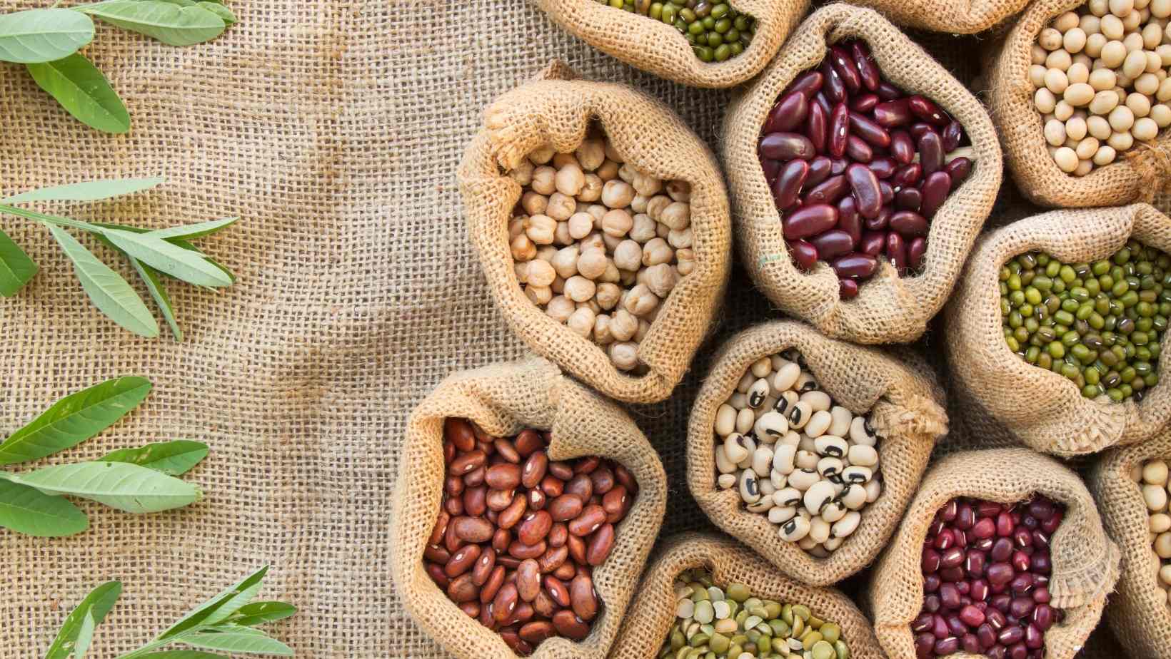 Beans and Legumes High in Fiber