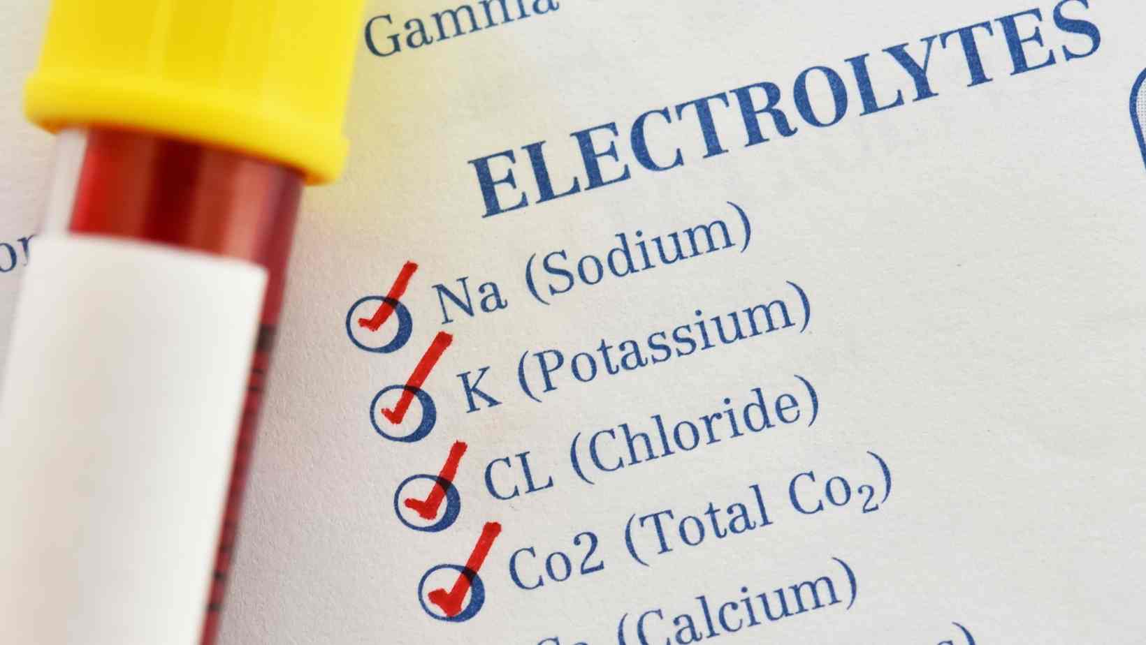 Foods High in Electrolytes