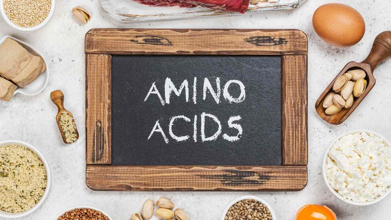 Foods High in Essential Amino Acids