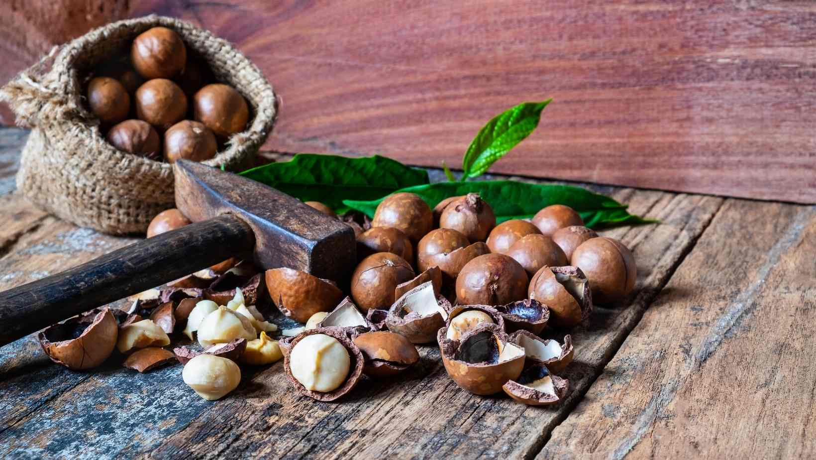 Health Benefits Of Eating Macadamia Nuts