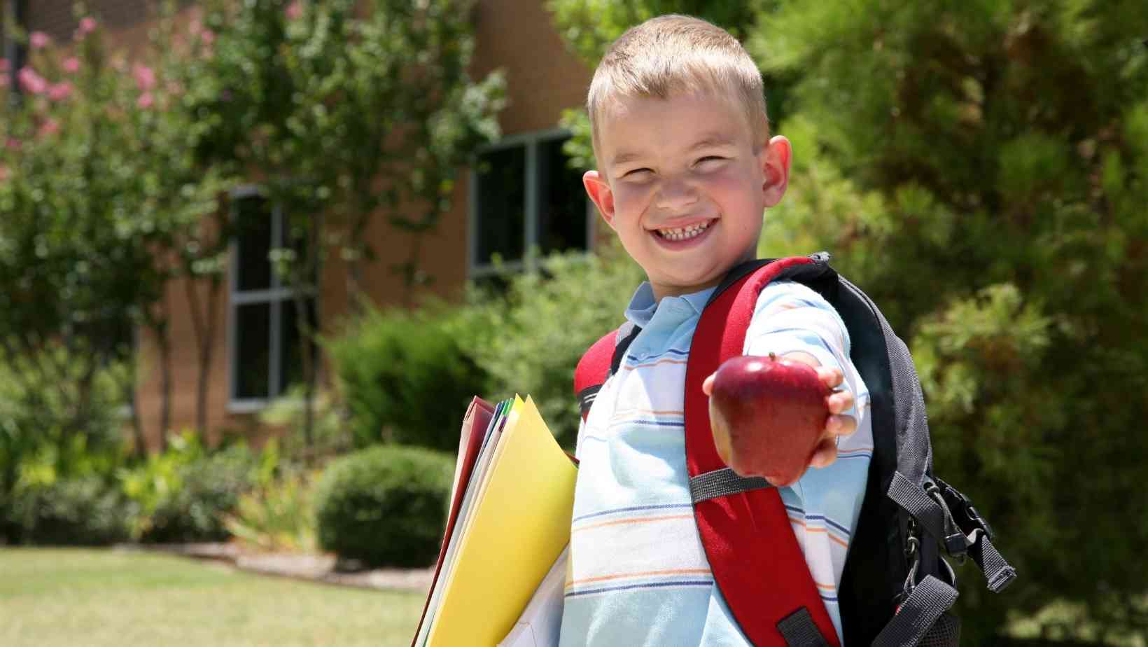 How to Encourage Healthy Eating in Schools