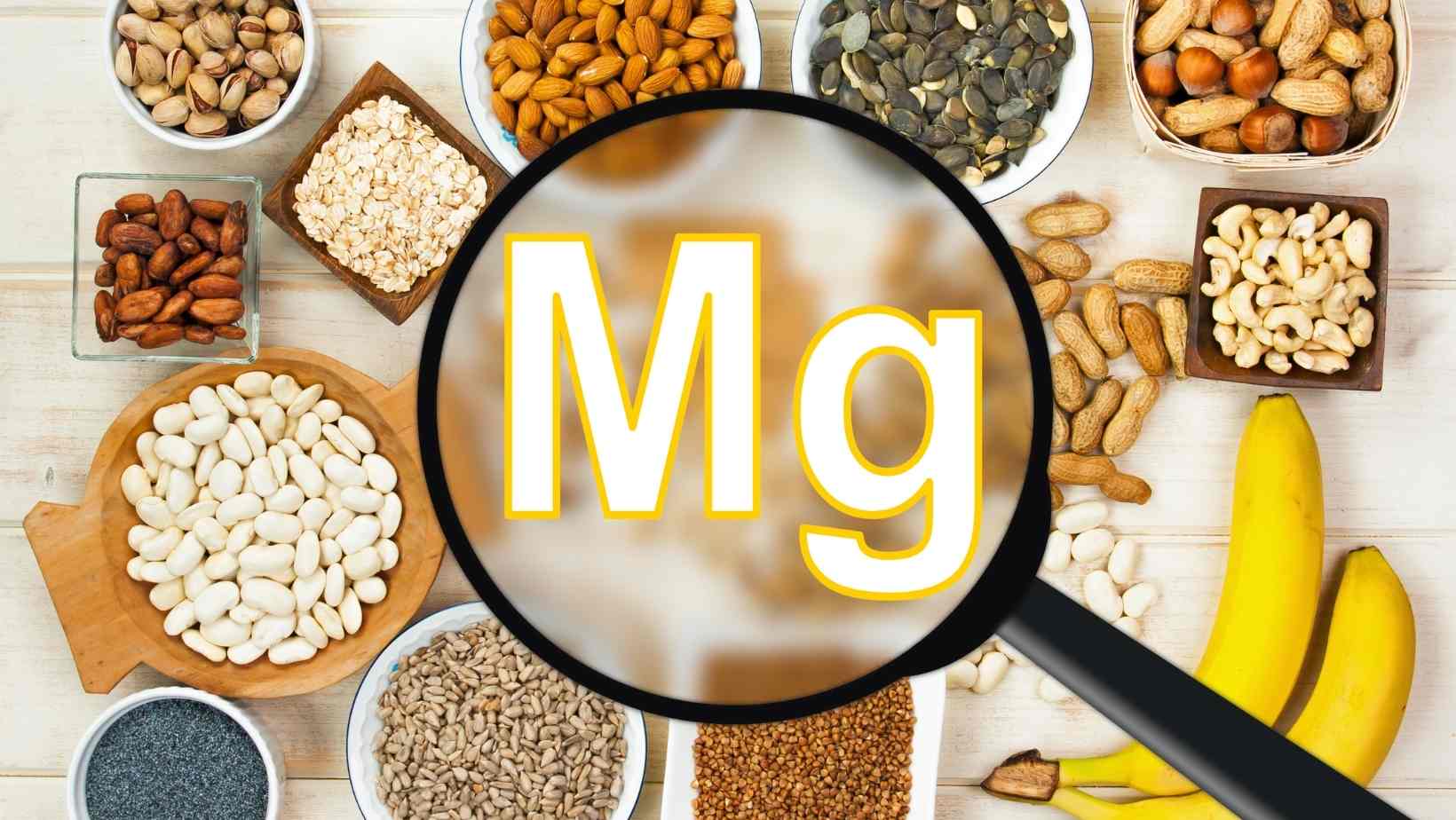 Magnesium-fortified legumes, nuts, and seeds