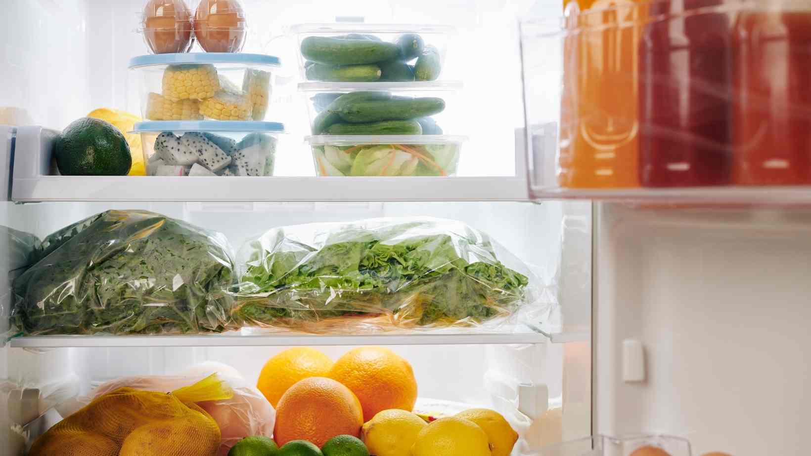 How To Store Food In The Refrigerator   Store Food In The Refrigerator 