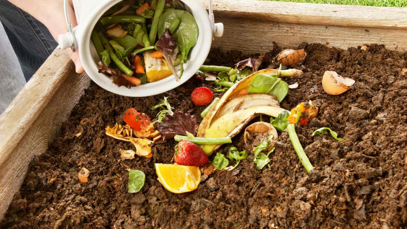 What Should You Compost