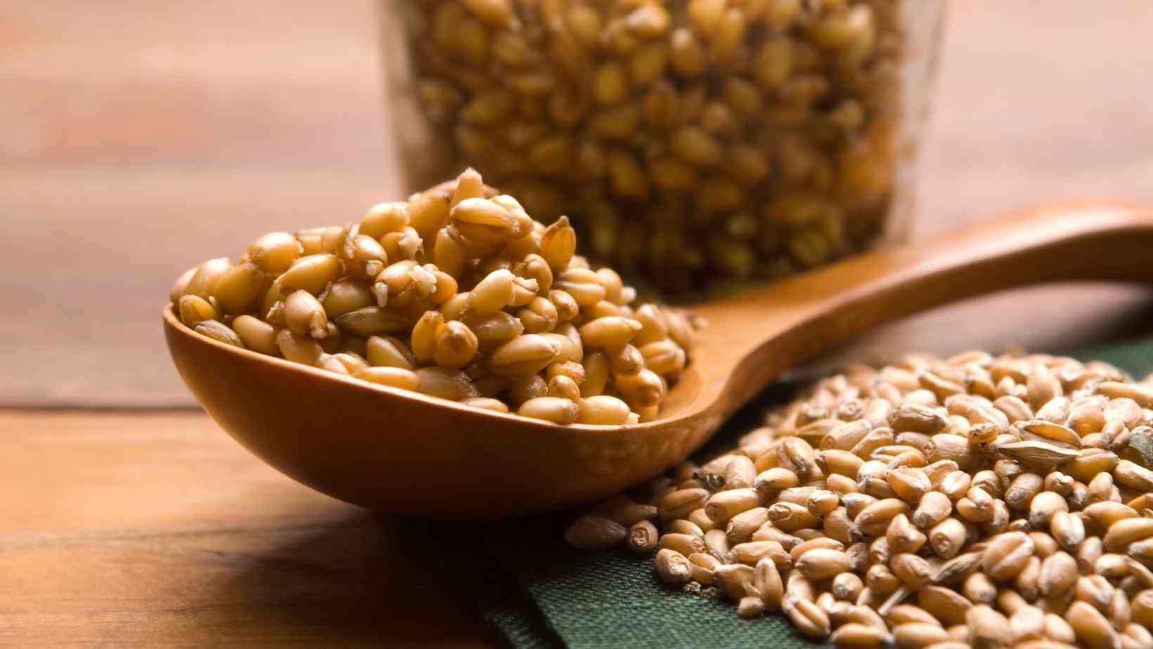 Wheat Germ - Fall Superfoods to Support Your Immune System