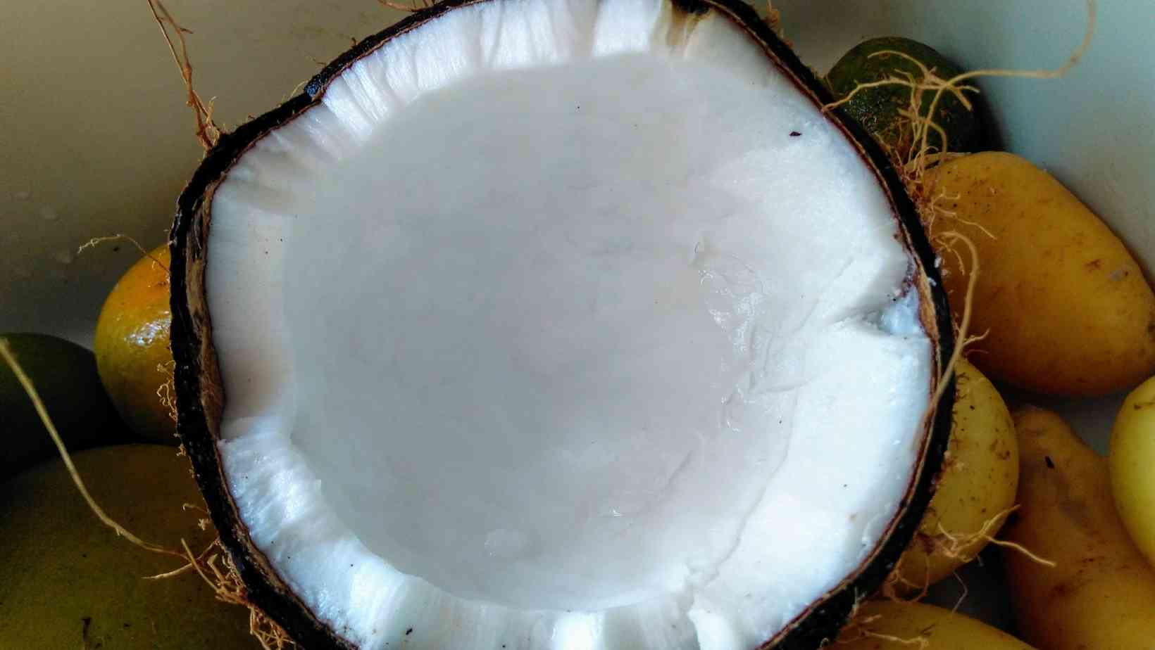 Cracking the Shell of a Coconut