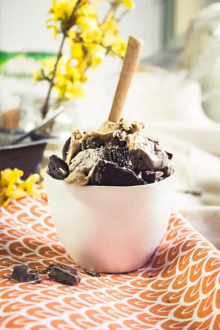 Chocolate Chip Cookie Ice Cream