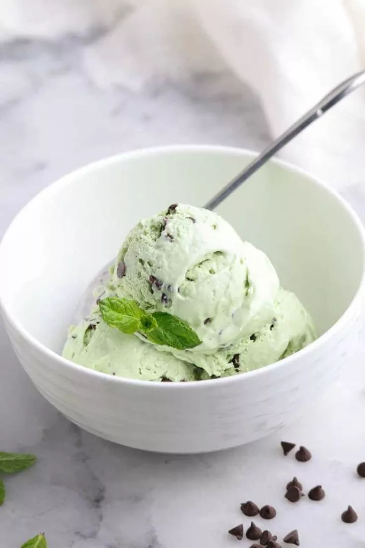 Mint Chocolate Chip Ice Cream