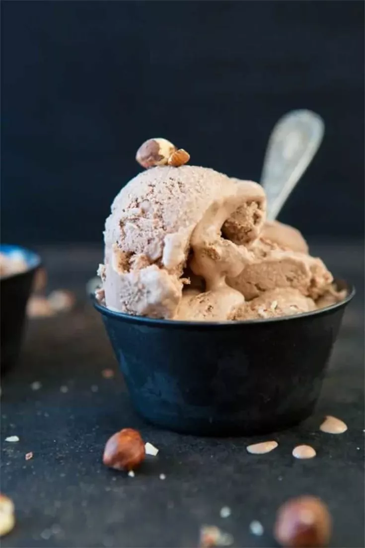 Vegan Hazelnut Ice Cream