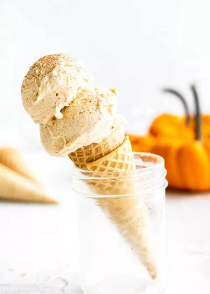 Vegan Pumpkin Ice Cream