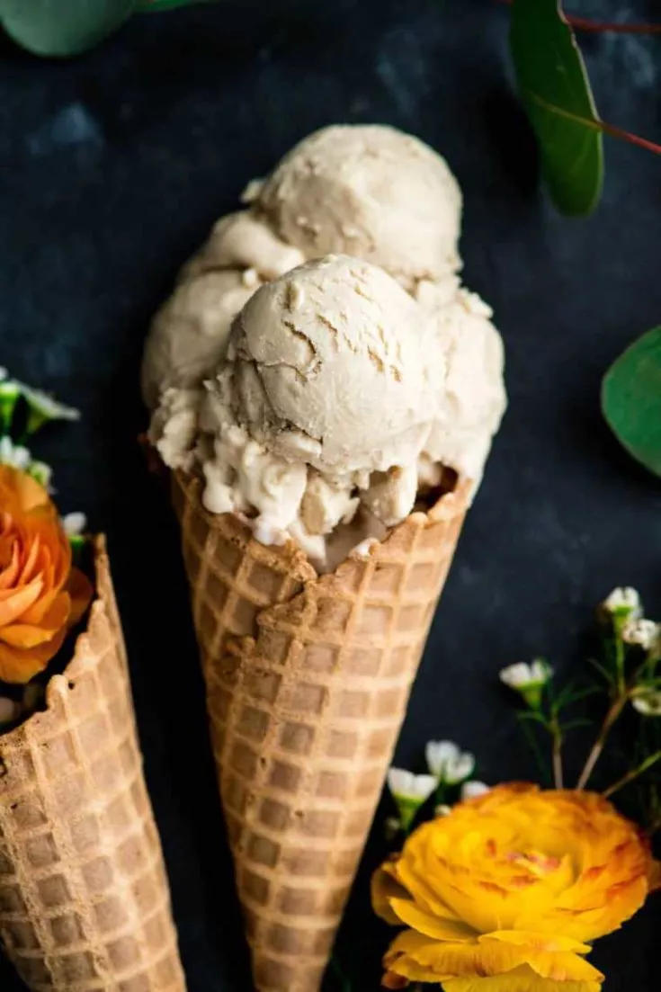 Vegan Vanilla Ice Cream